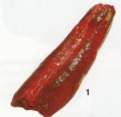 Satulaselkä